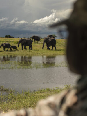 Sydelle Willow Smith KAZA for Makhulu Media/GIZ.  Matsego Makondo , Regional Wildlife Officer, Department of Wildlife Botswana, pictured on patrole in Chobe National Park.